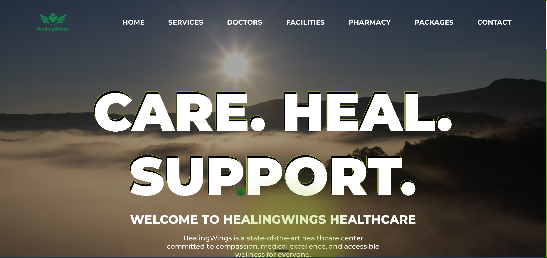 HealingWings Healthcare